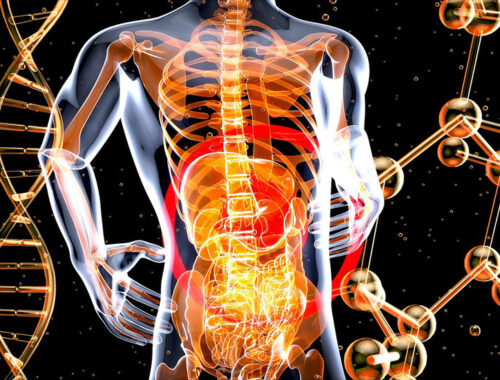 Why Gut Health Is the Root of Overall Wellness