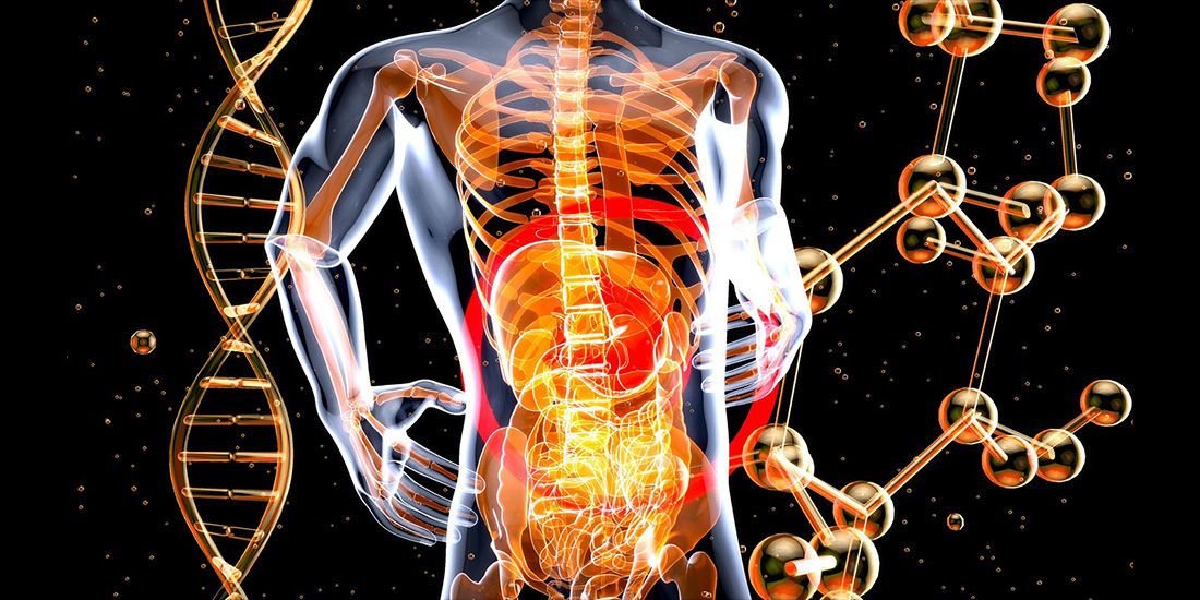 Why Gut Health Is the Root of Overall Wellness